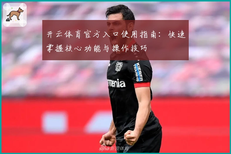 开云体育官方入口使用指南：快速掌握核心功能与操作技巧