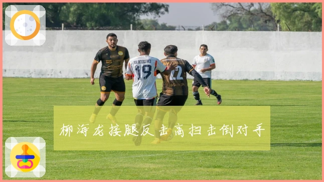 柳海龙接腿反击高扫击倒对手