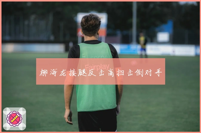 柳海龙接腿反击高扫击倒对手