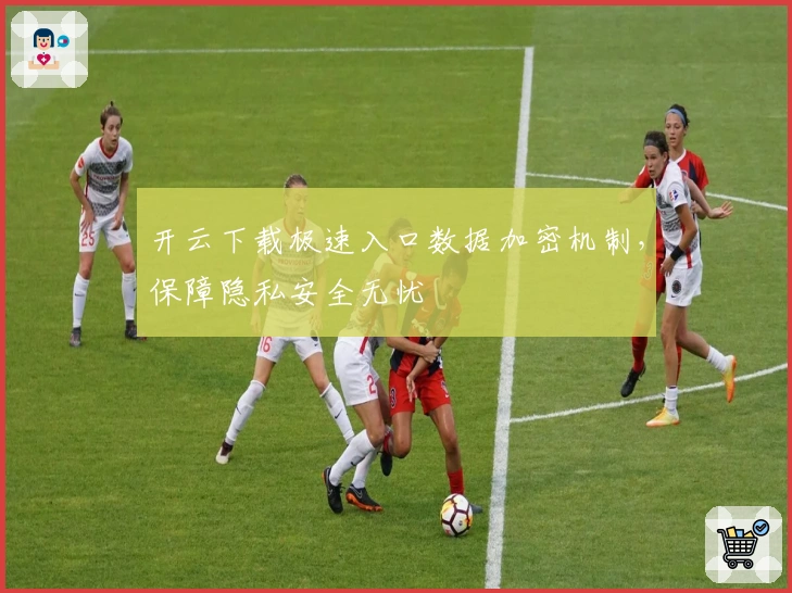 开云下载极速入口数据加密机制，保障隐私安全无忧