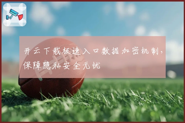 开云下载极速入口数据加密机制，保障隐私安全无忧